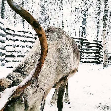 Sky Igloo With Private Sauna And Hot Tub Willa Levi