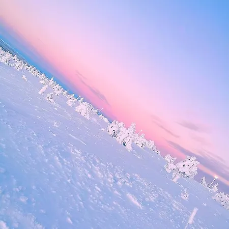 Huvilat Sky Igloo With Private Sauna And Hot Tub Levi