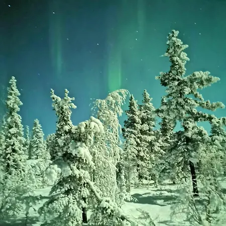 Sky Igloo With Private Sauna And Hot Tub ليفي