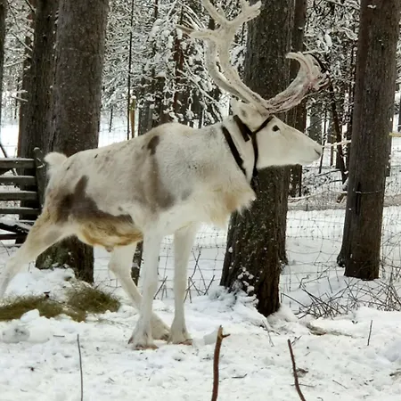 Sky Igloo With Private Sauna And Hot Tub *