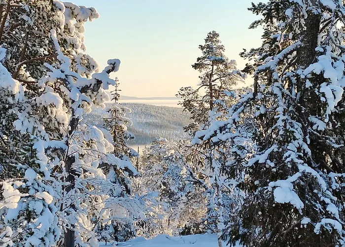 Sky Igloo With Private Sauna And Hot Tub